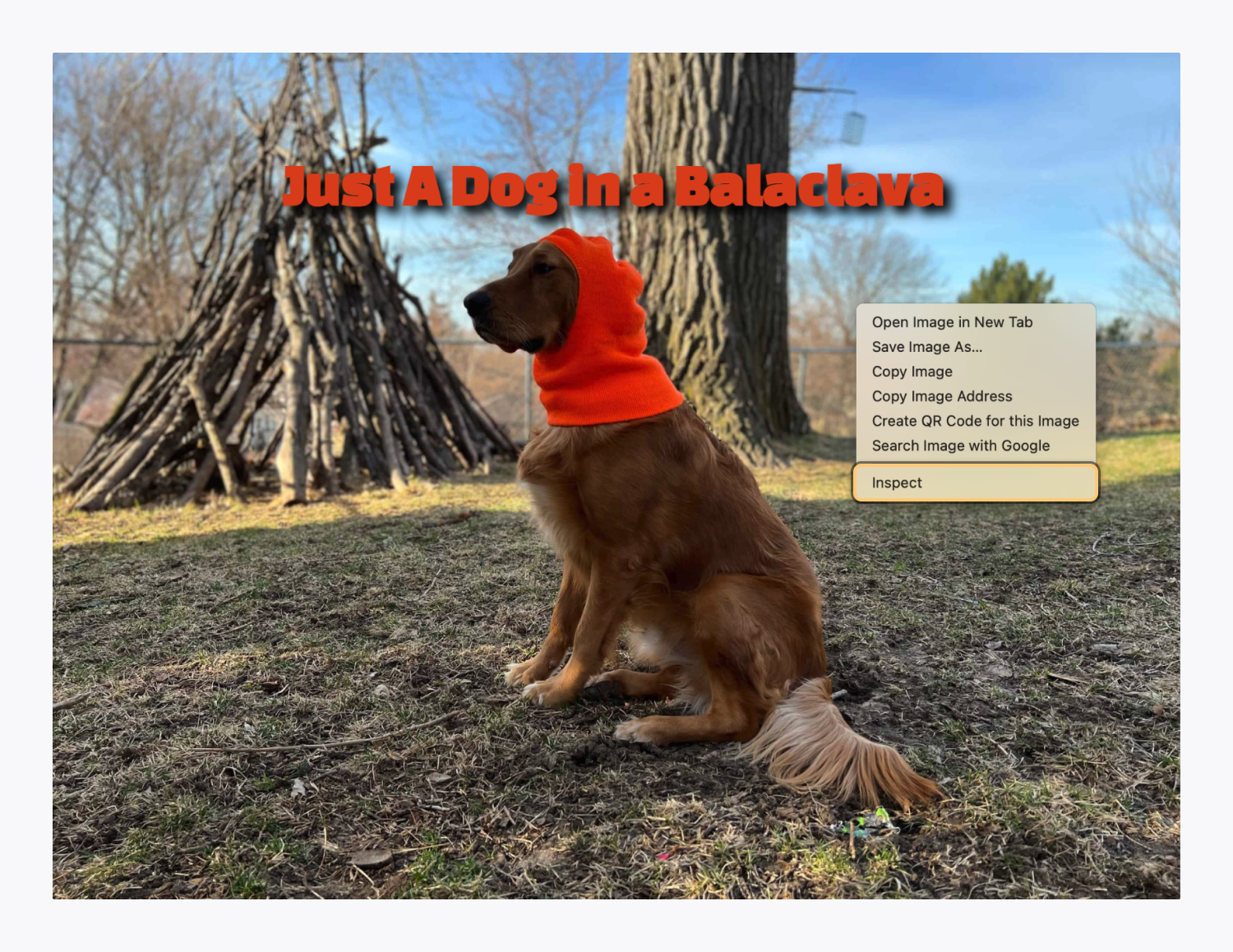 The site justadoginabalaclava.com in Google Chrome. The right-click menu is open and the “Inspect” option is highlighted.