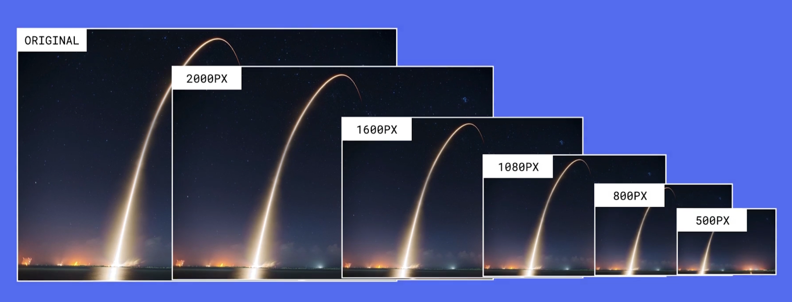 Variants of an uploaded picture created by Webflow. It includes the original image and resized variants of 2000px, 1600px, 1080px, 800px, and 500px.