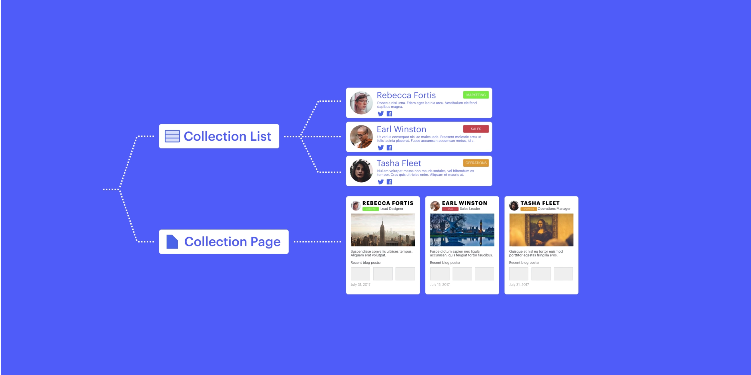 A diagram displays the two ways to add dynamic content to your Webflow project. The two main elements from which Profile cards stem from are A Collection List or a Collection Page.