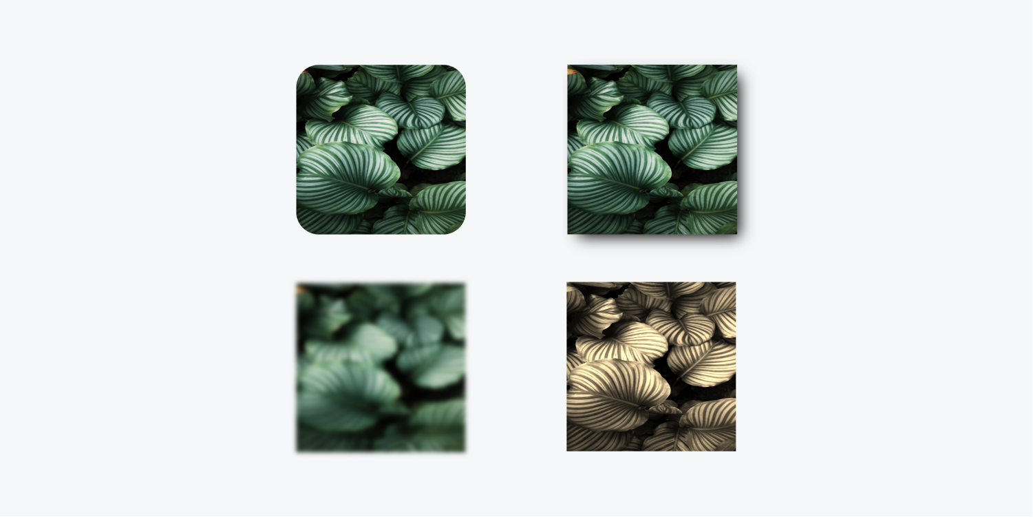 An image duplicated four times with style properties. An example of a border radius, drop shadow, blur and sepia filter properties.