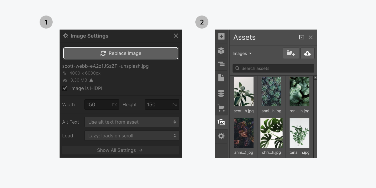 On the left side, click the replacement button, on the right side, choose an image from the assets panel.