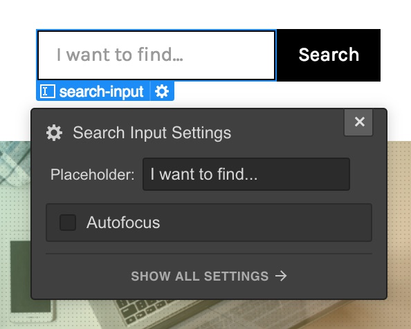 Adjust your placeholder text to guide visitors on how to utilize the search.